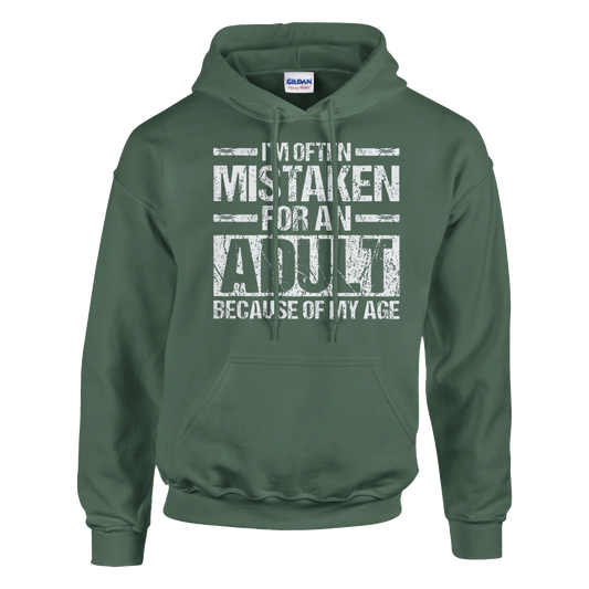 Klassisk Pullover Hoodie Gildan 18500 – SANAFU streetwear, bilde 1